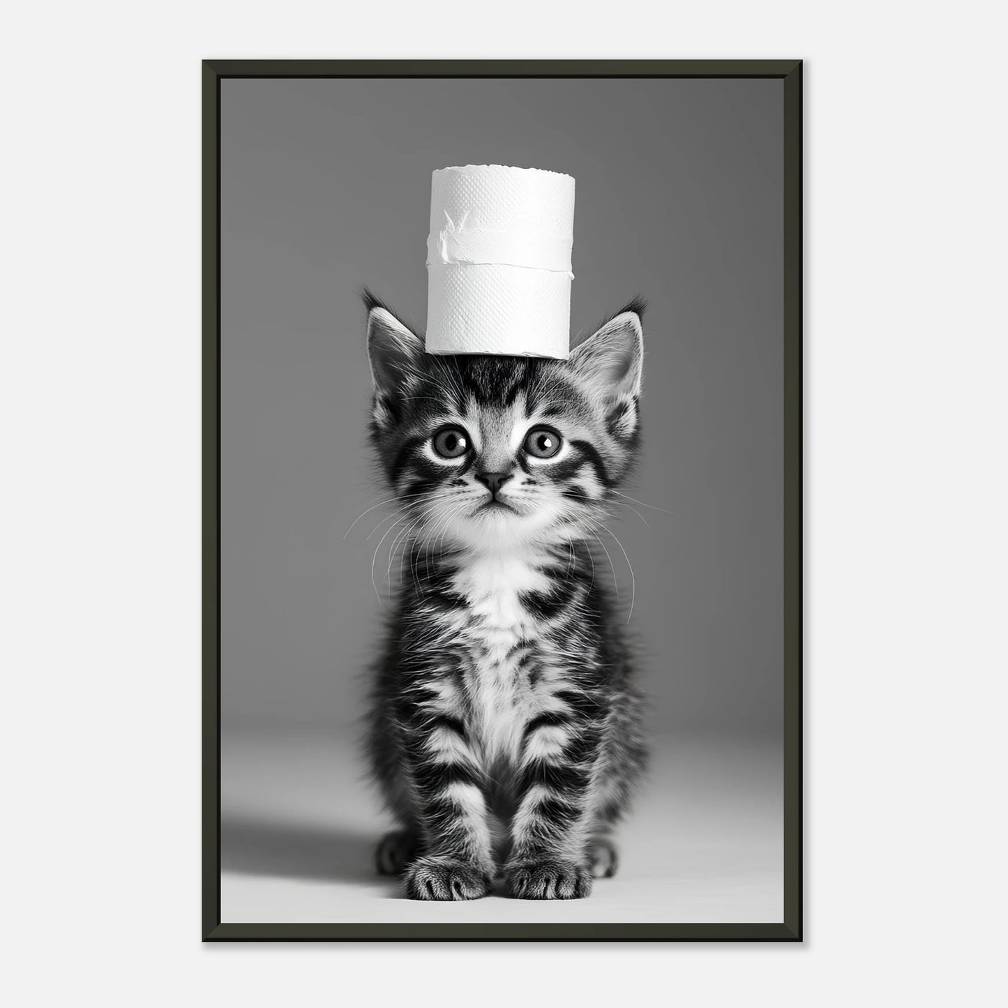 11e69310-436f-4490-8203-def25a218e02