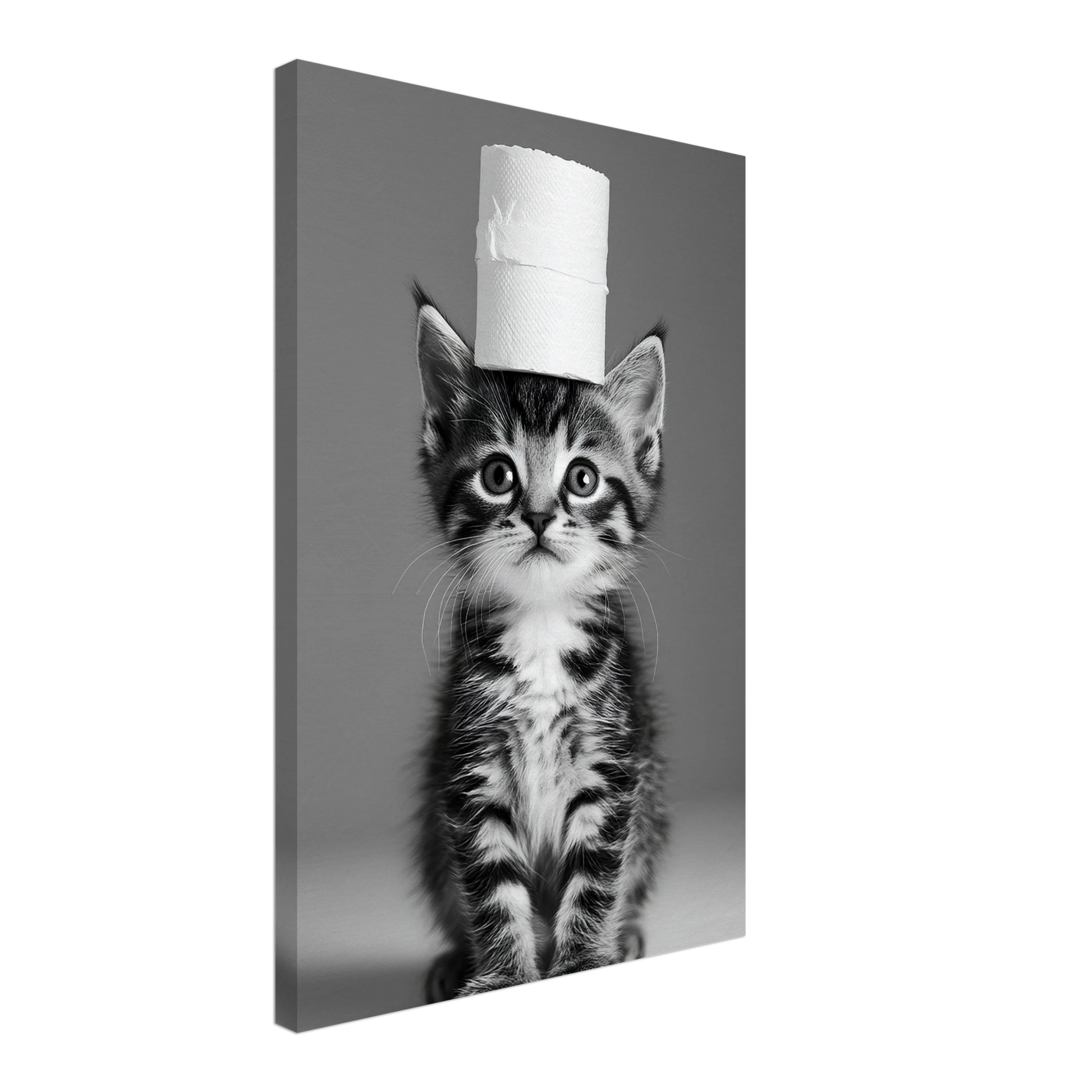 347dac0b-068c-49ed-9c35-1c2f12866022