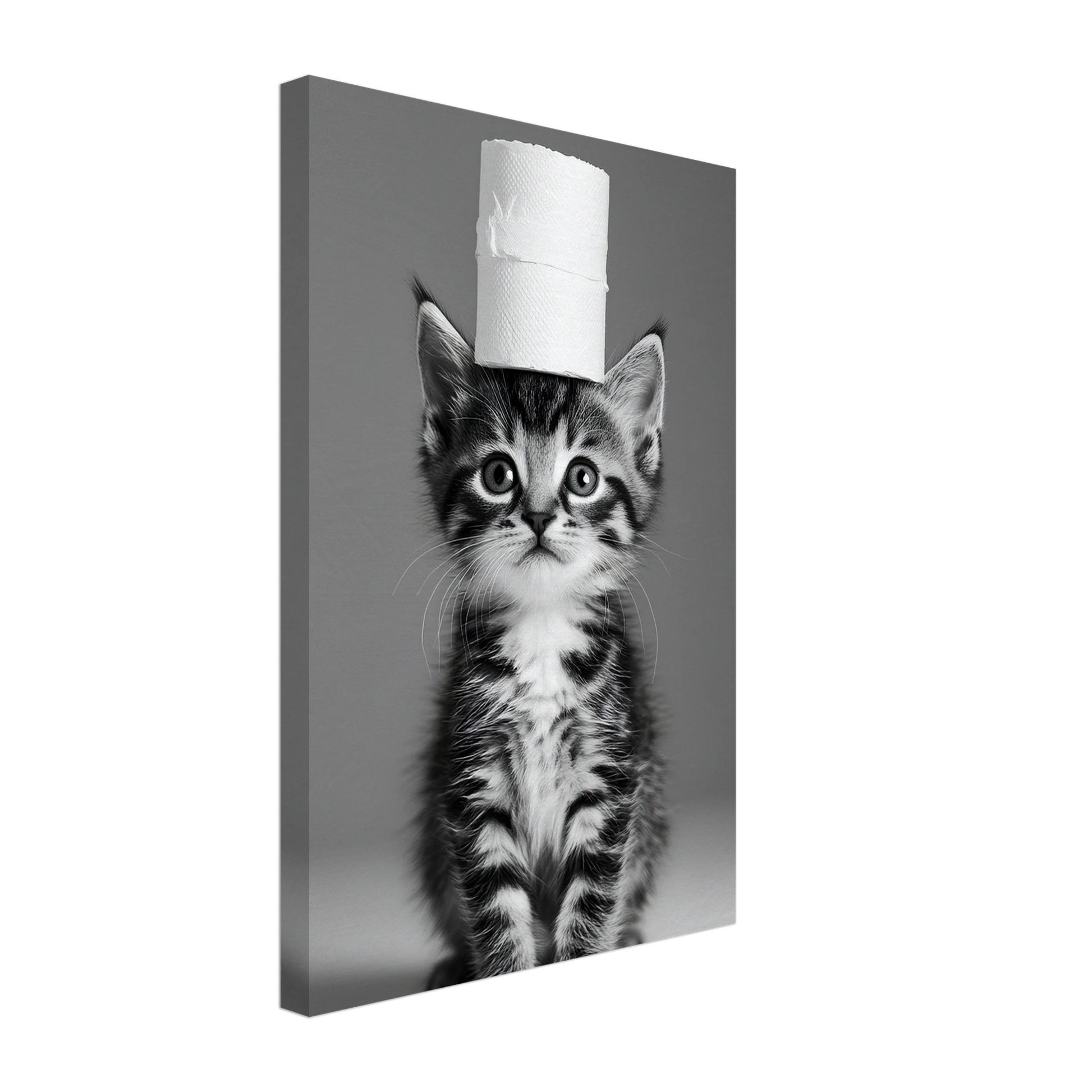 53f0c543-095e-497d-856f-a7602eceb48a