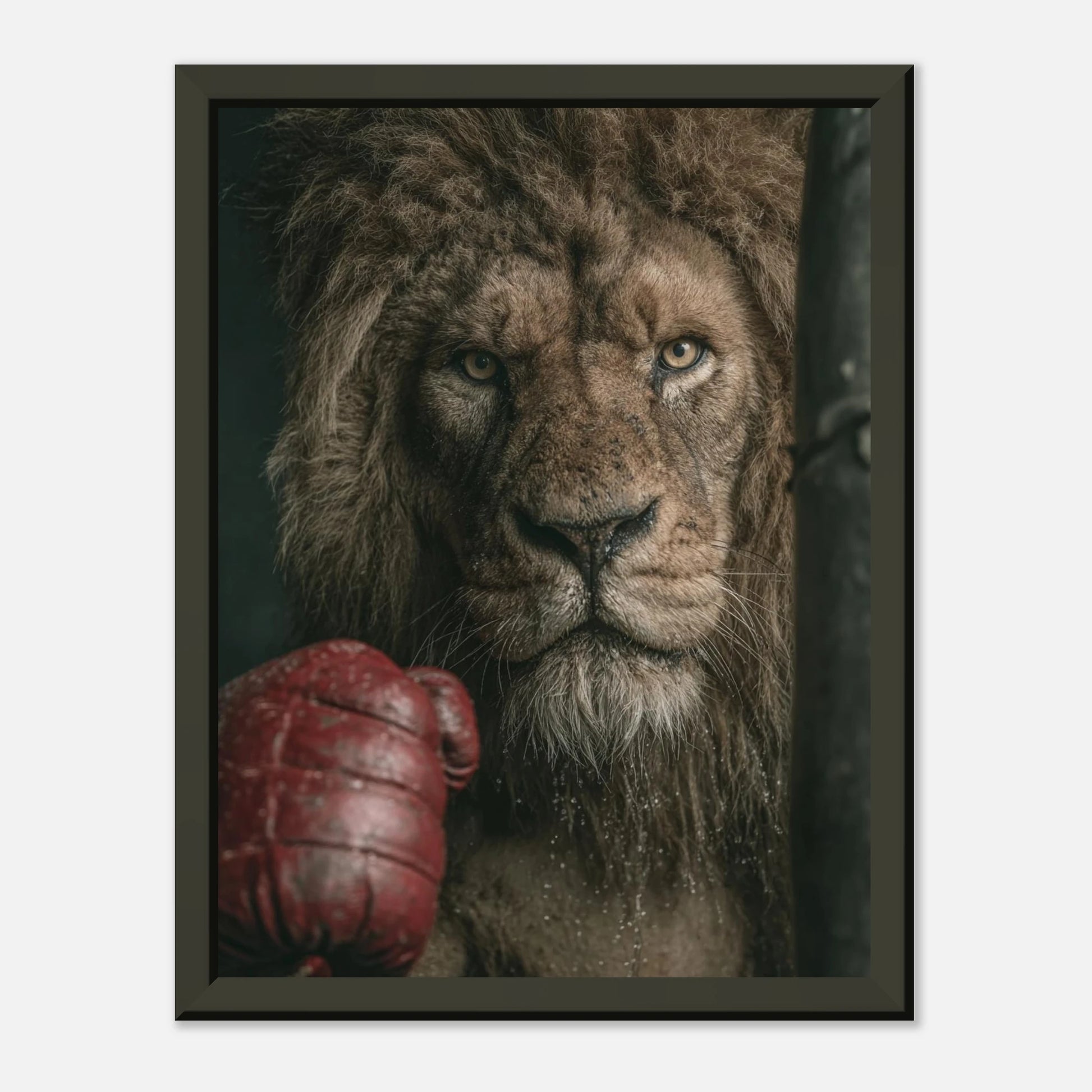 5f4a4112-430c-4343-8208-4718b37c8dd7