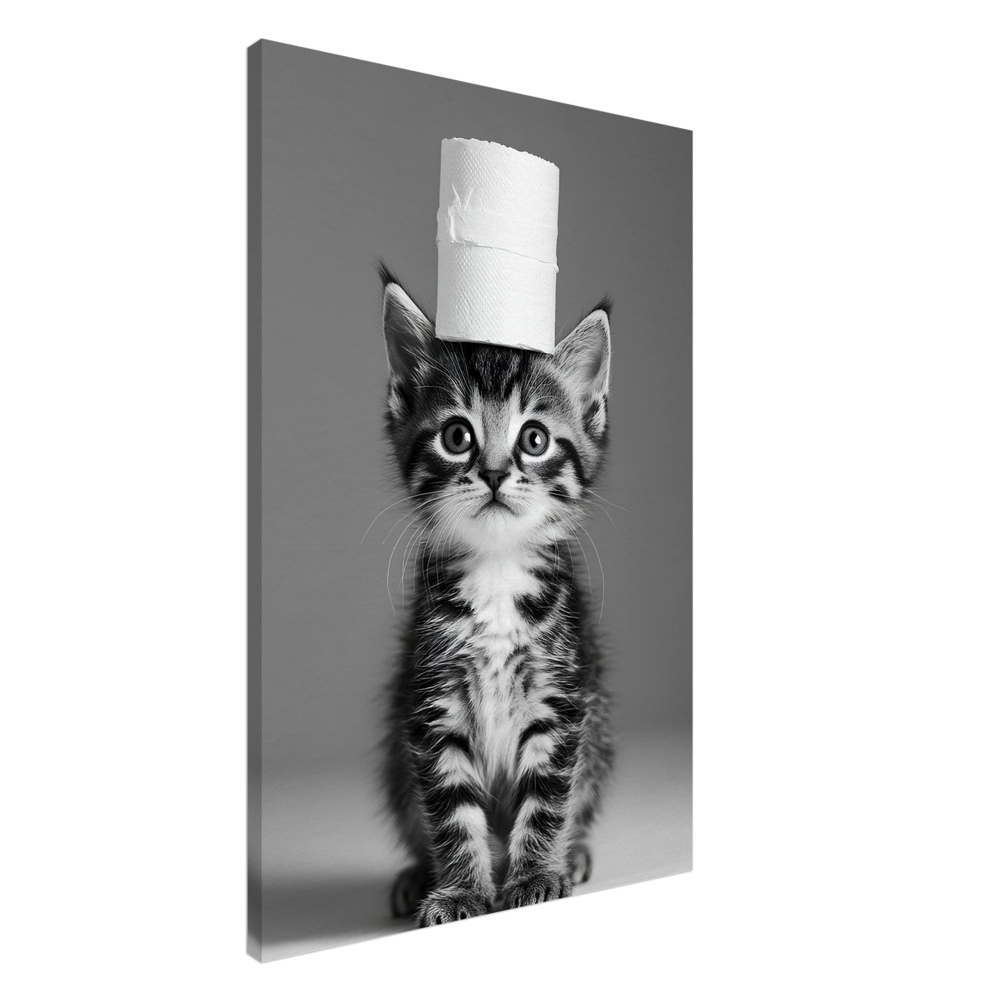 5f8c2c41-afdd-4dfb-b3c0-50802867fc68