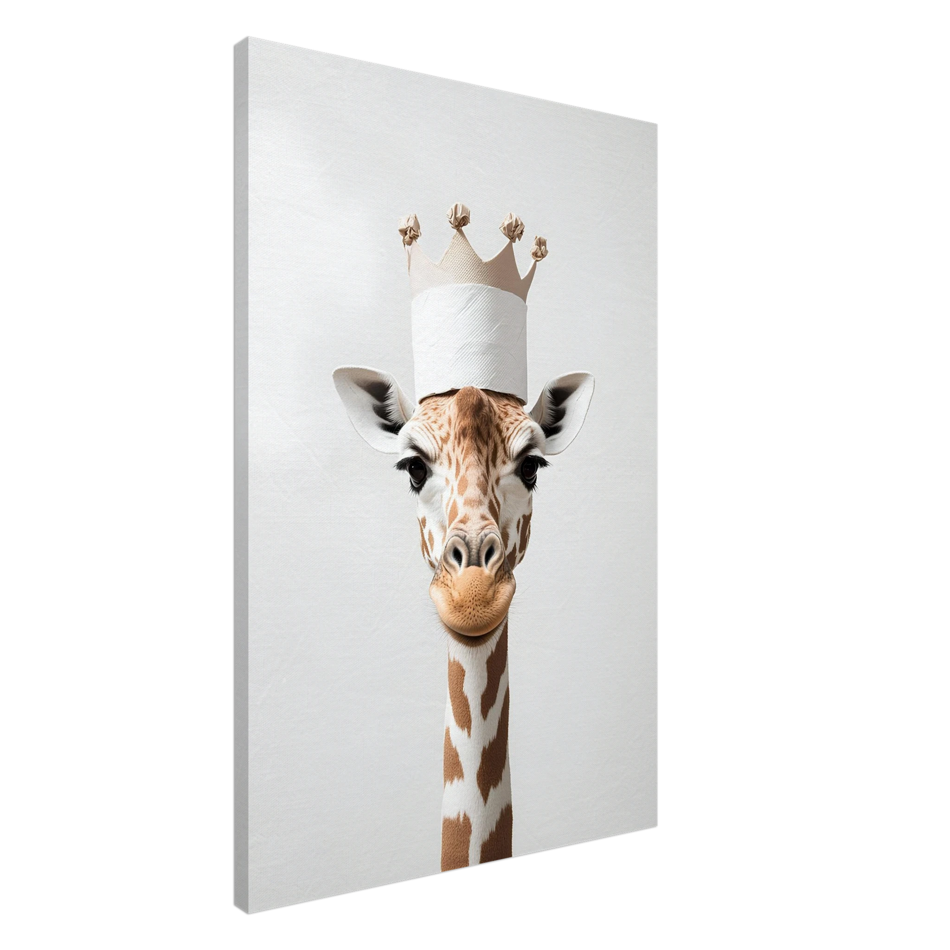 678acfe2-9982-4b5d-af97-c43ba3855647