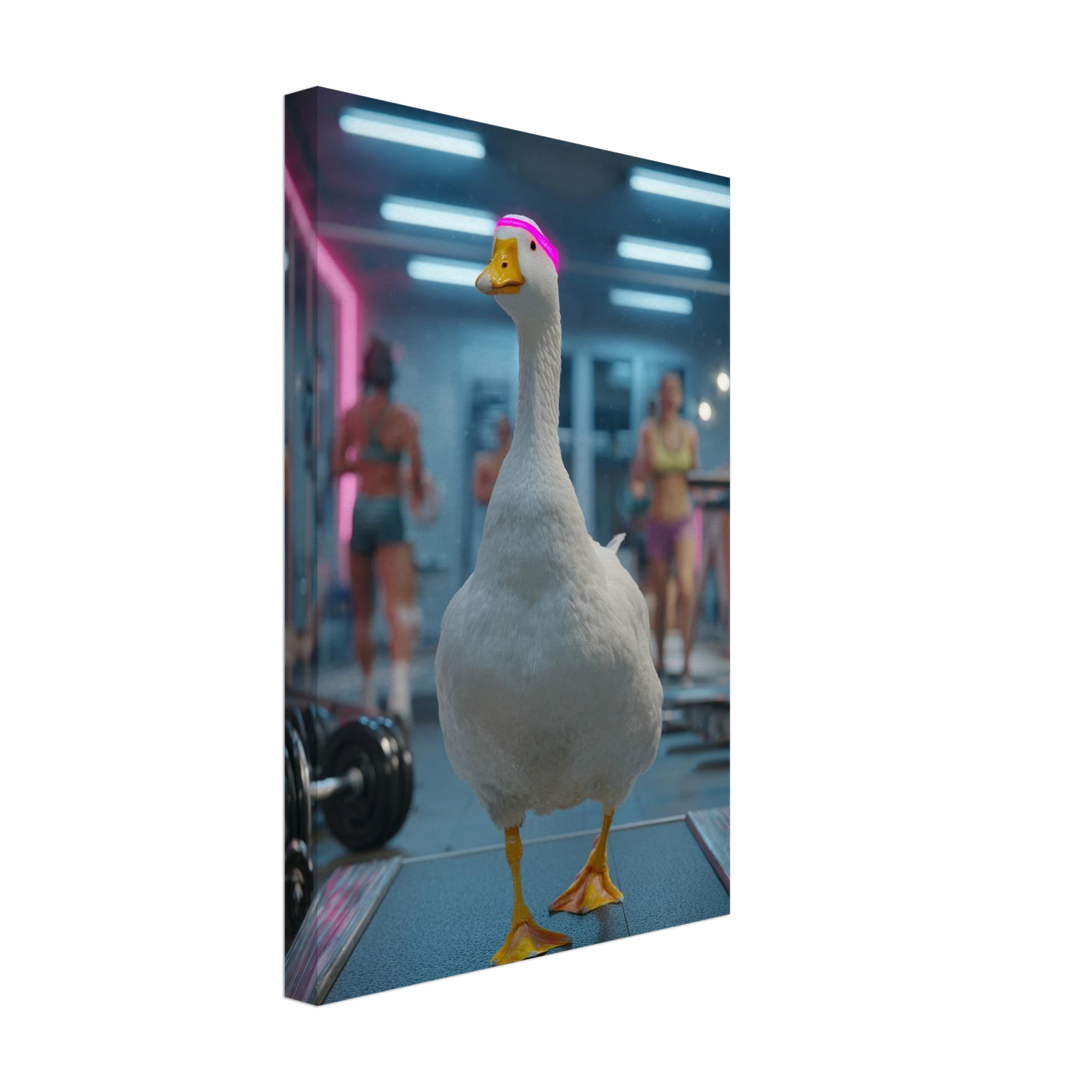 7fff1063-f84e-4660-bb13-5d0017f611d2