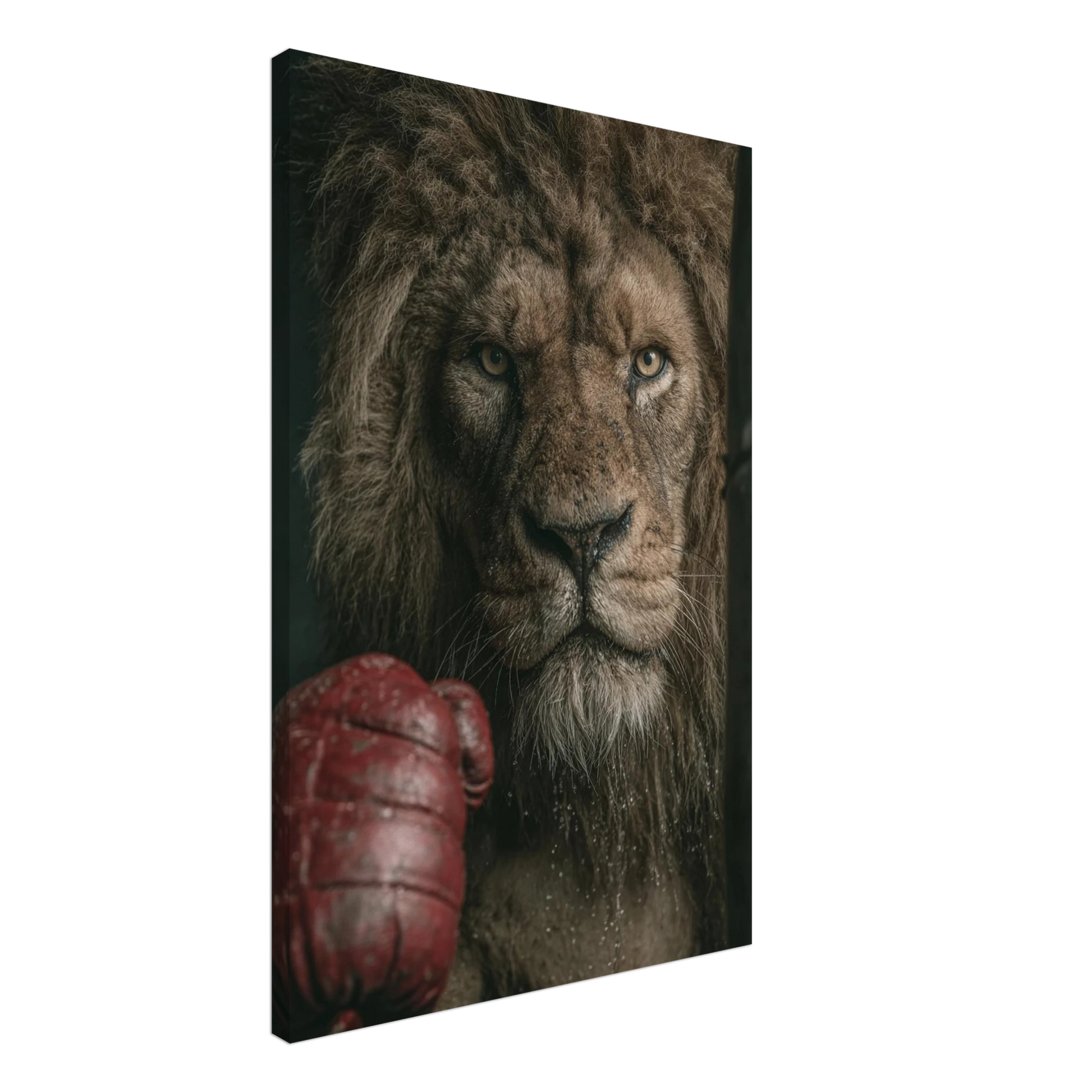 803feff1-a8a1-4b45-a17d-b08a4fa1bd8e