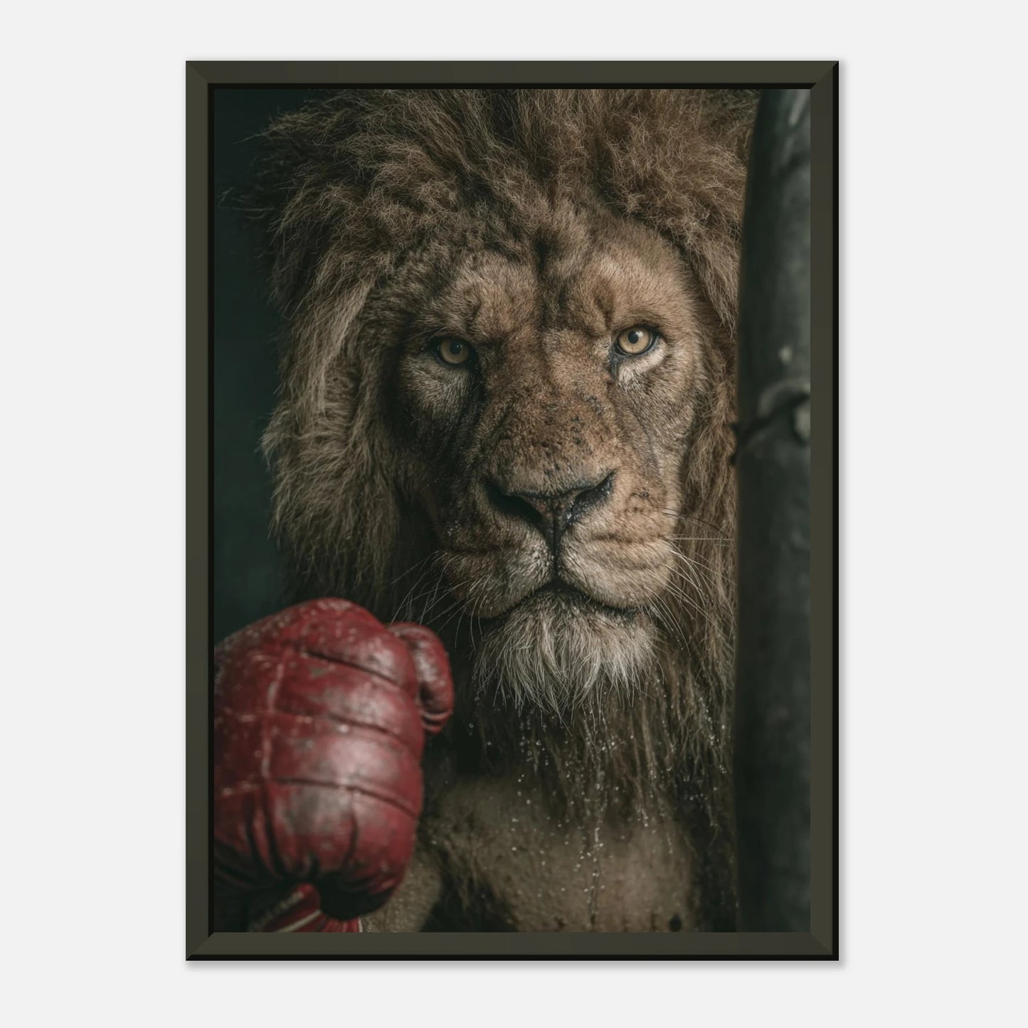 82162d77-be95-435a-a790-6aac8a16315e