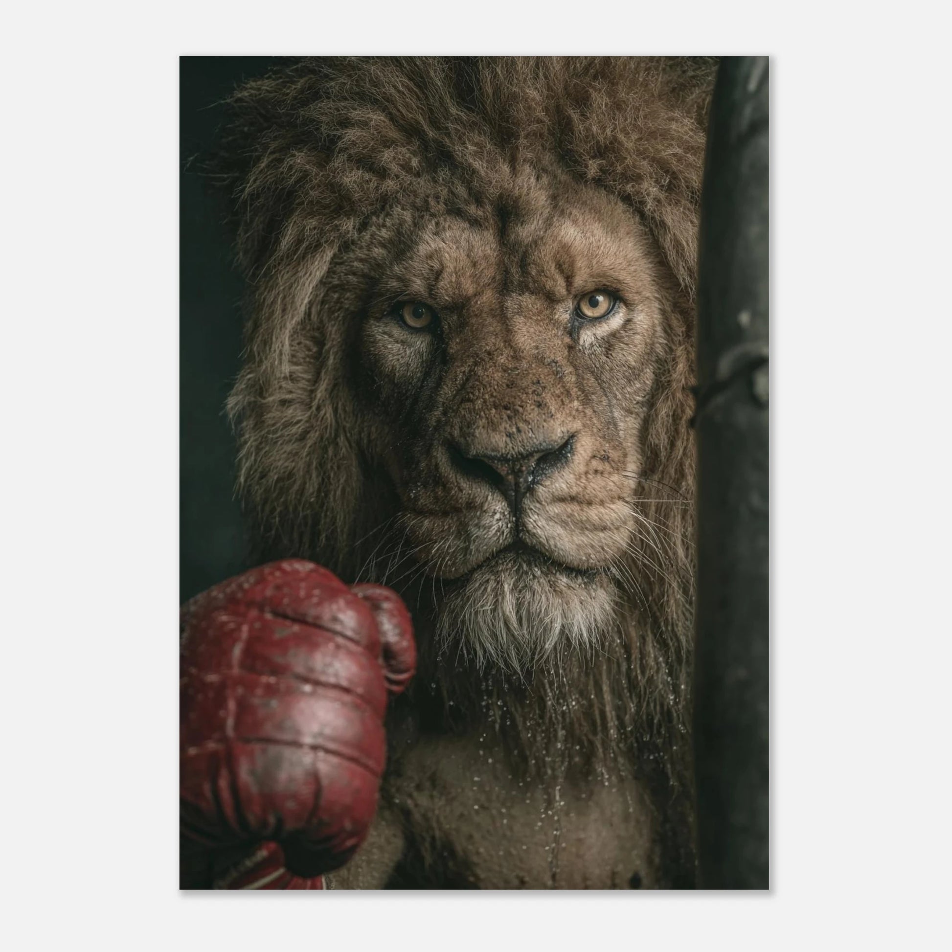 8eeee7e6-df1b-455e-b420-5141b354097f