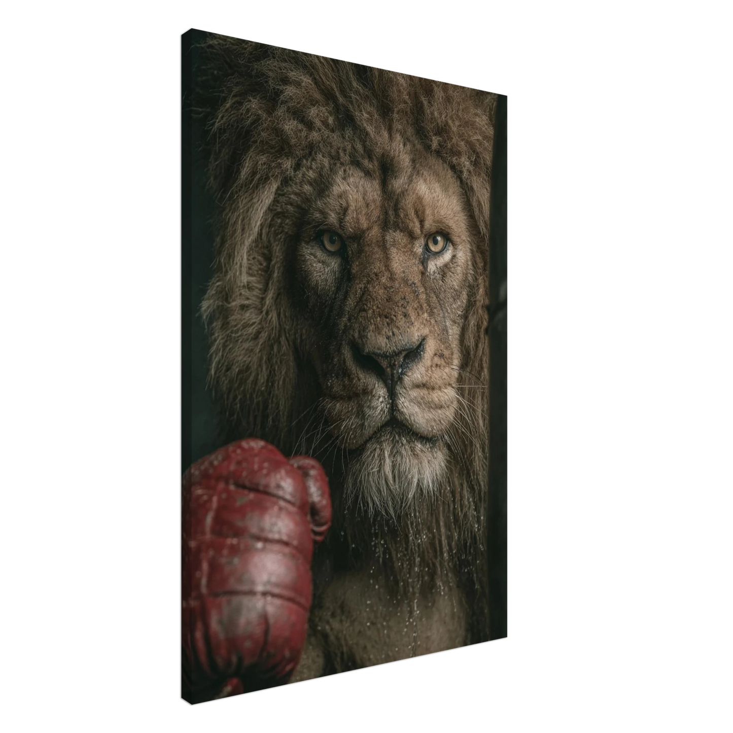 9522fe8d-f998-4185-ad20-0723ee8eb512