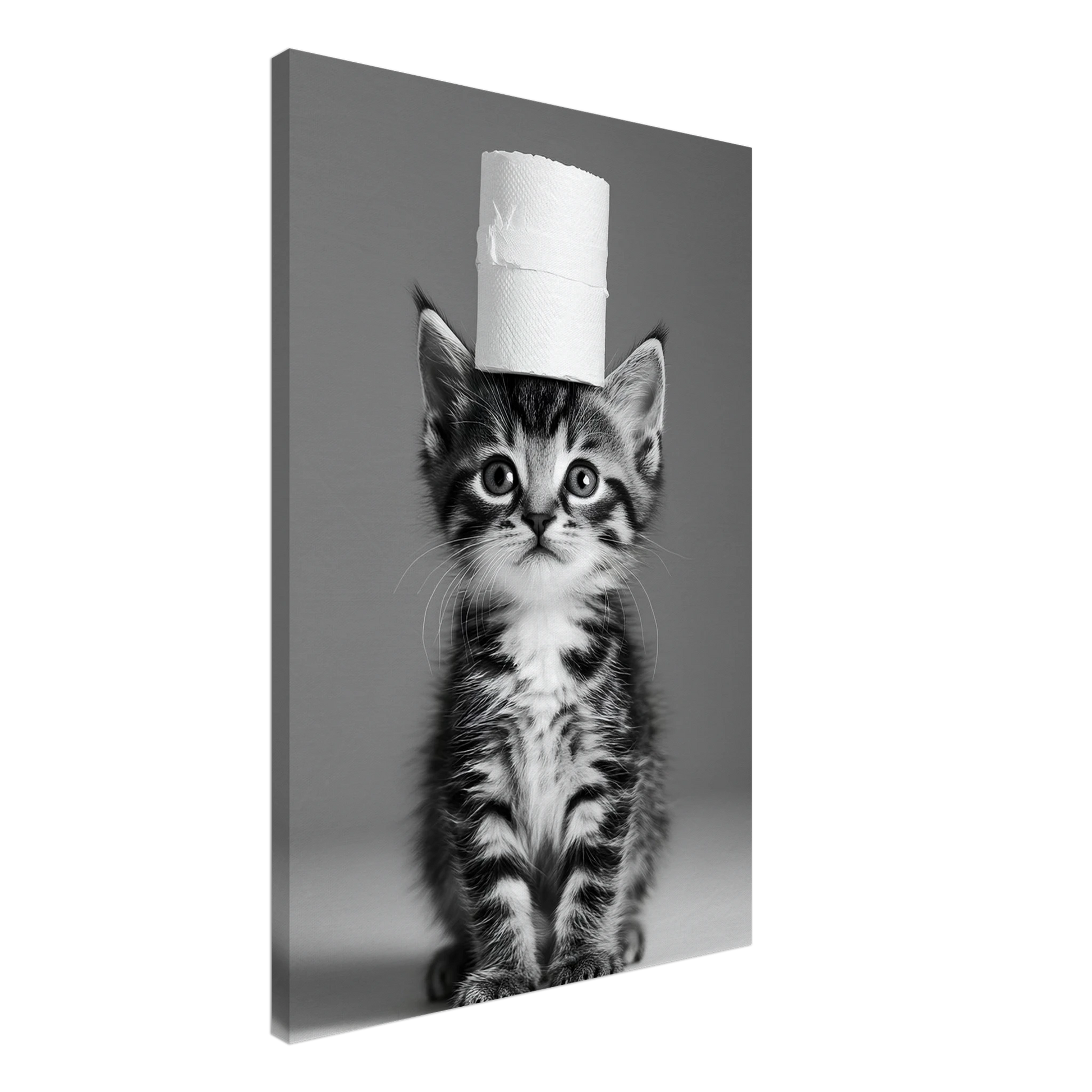 a03cb603-f0d0-4046-9c28-c0309a3835a1