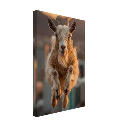 a5776469-2be4-4973-9343-f44cd5d5c5f0