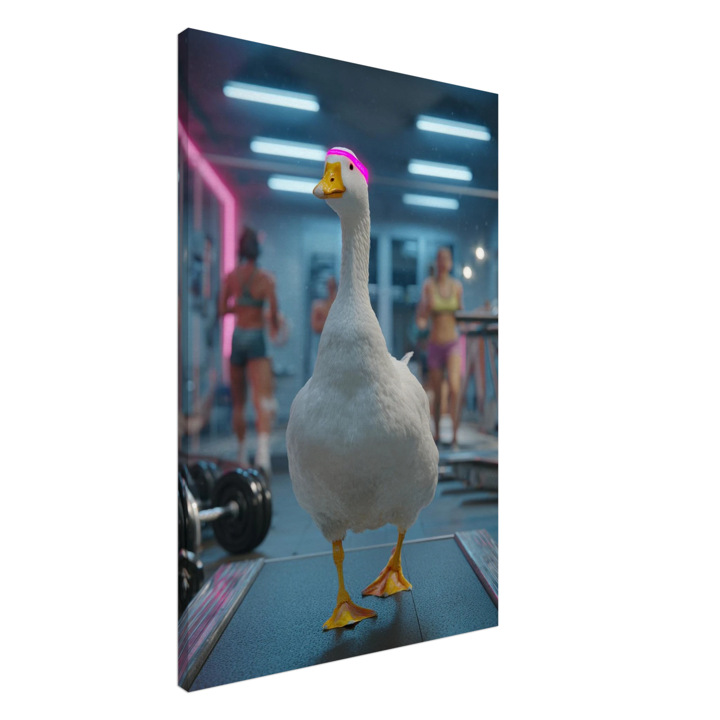 a6f00915-41b4-404e-ade5-3b6e327226fe