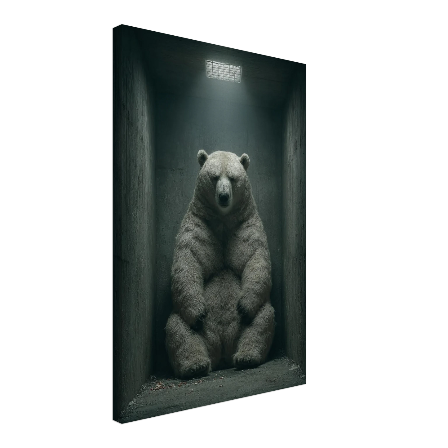 b441c64e-2c17-438d-a007-c1d43c4c5676