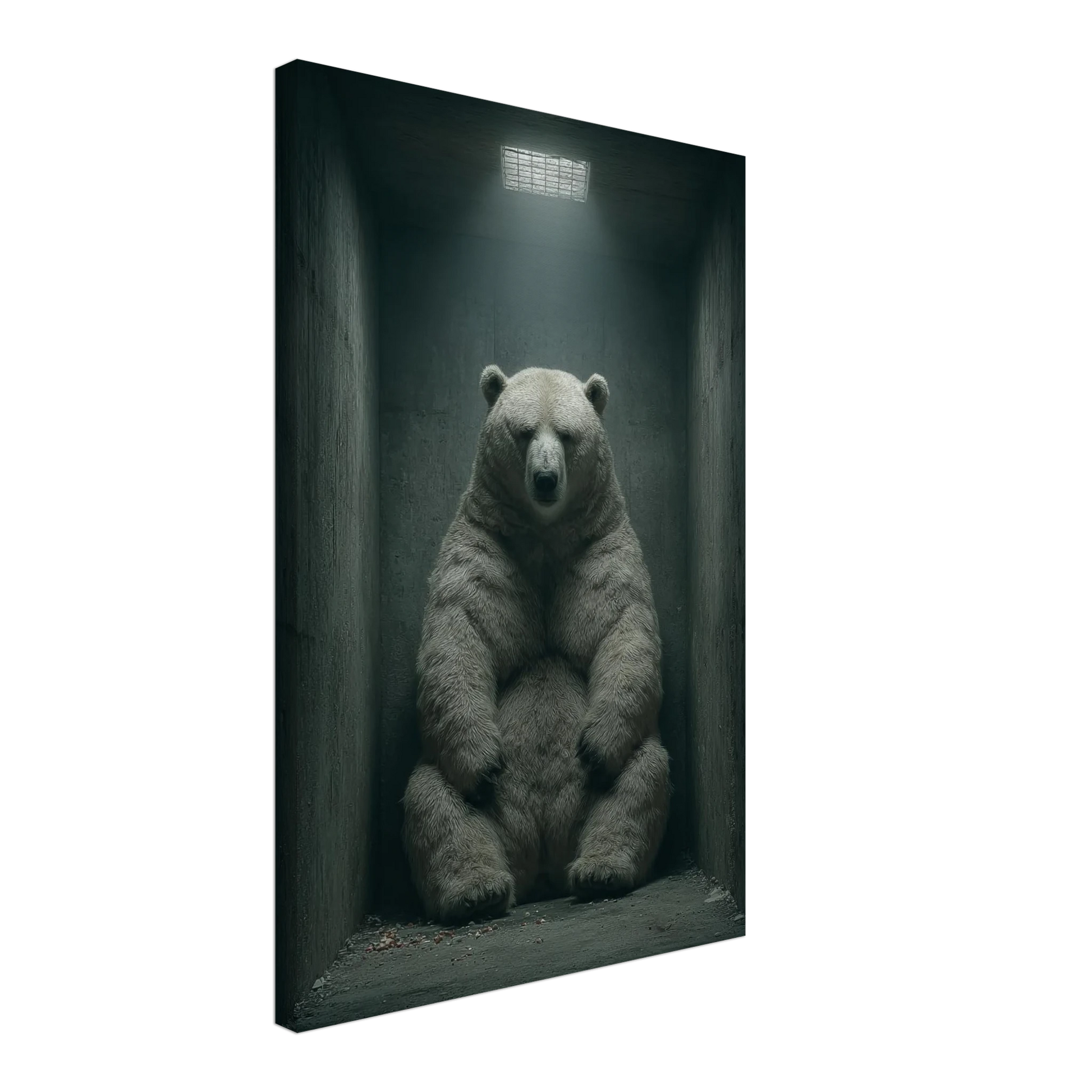 b441c64e-2c17-438d-a007-c1d43c4c5676