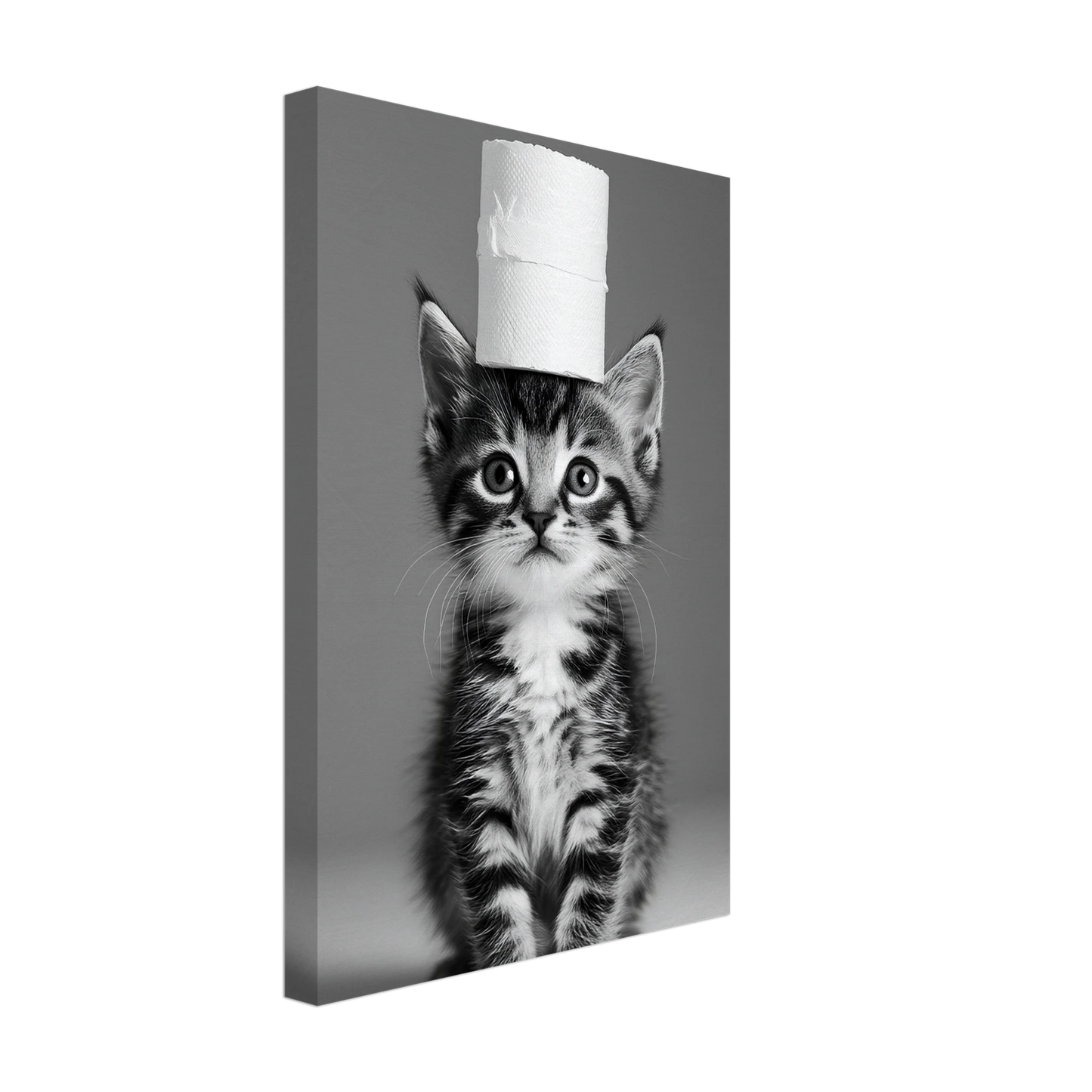 cb424a87-54b7-489c-8bd5-dae7ba2b7f43