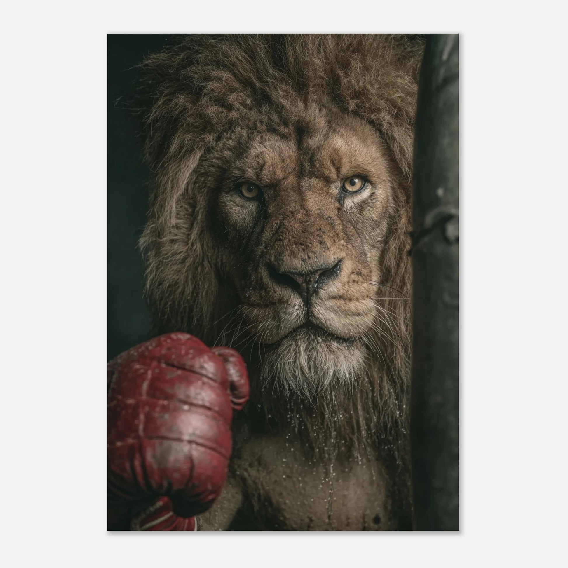 cf98d95a-0ec1-45d4-b241-e643b914ee7e