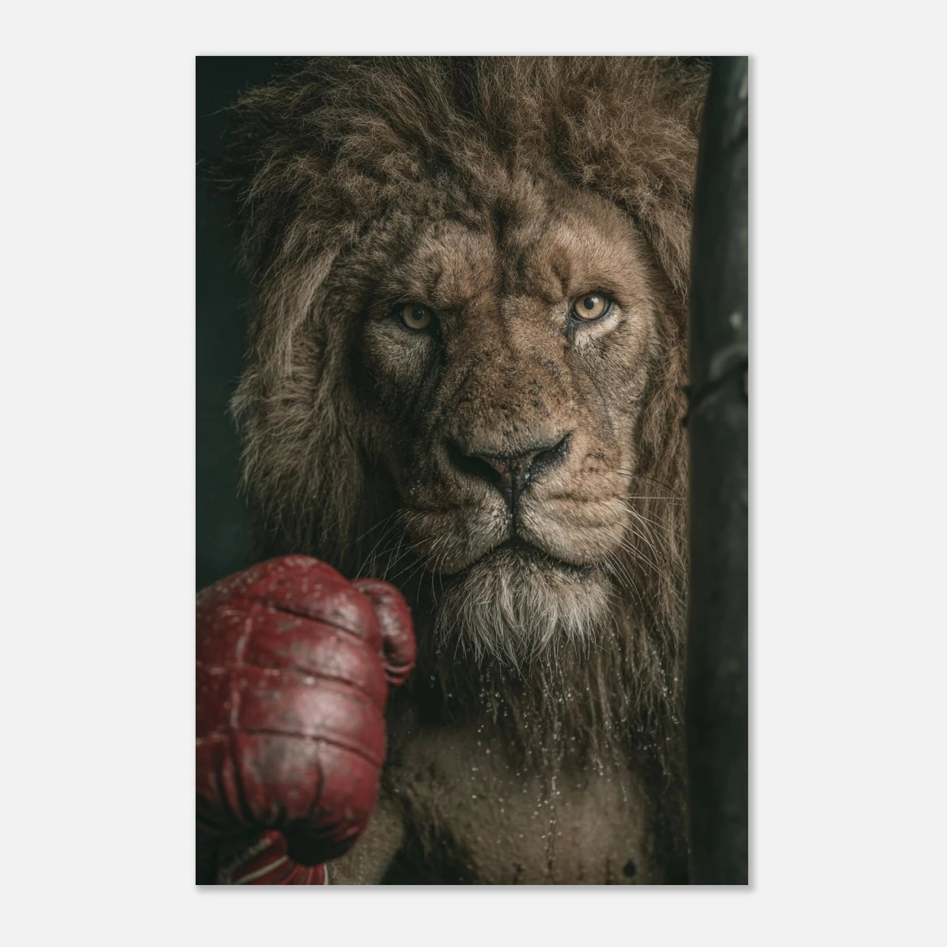 d2564746-6db1-443c-9eaa-d3799067344b