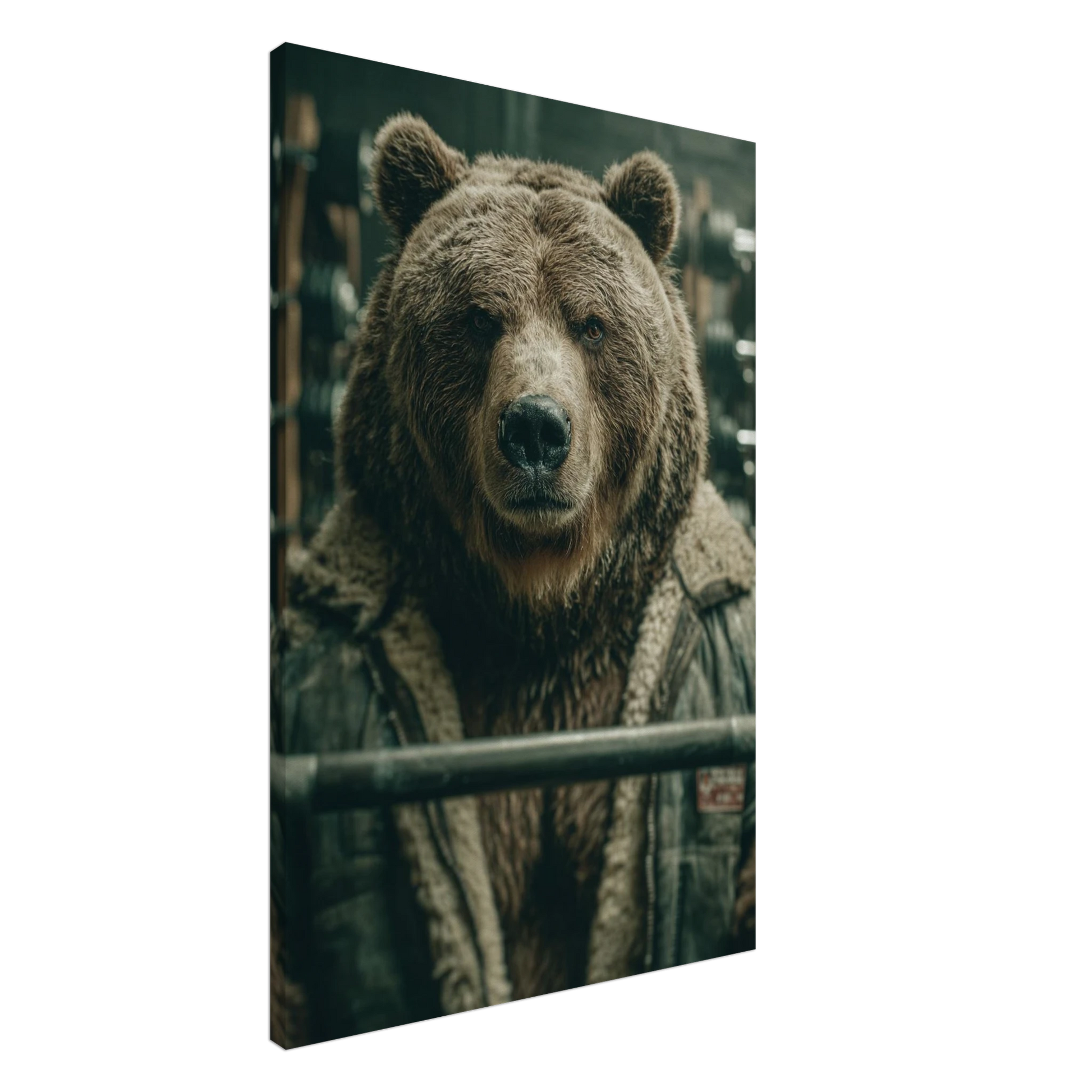 d52b018d-d691-4101-8772-d49c0d9a3ceb